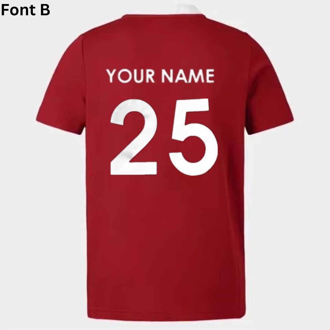 British & Irish Lions 2025 Classic Jersey