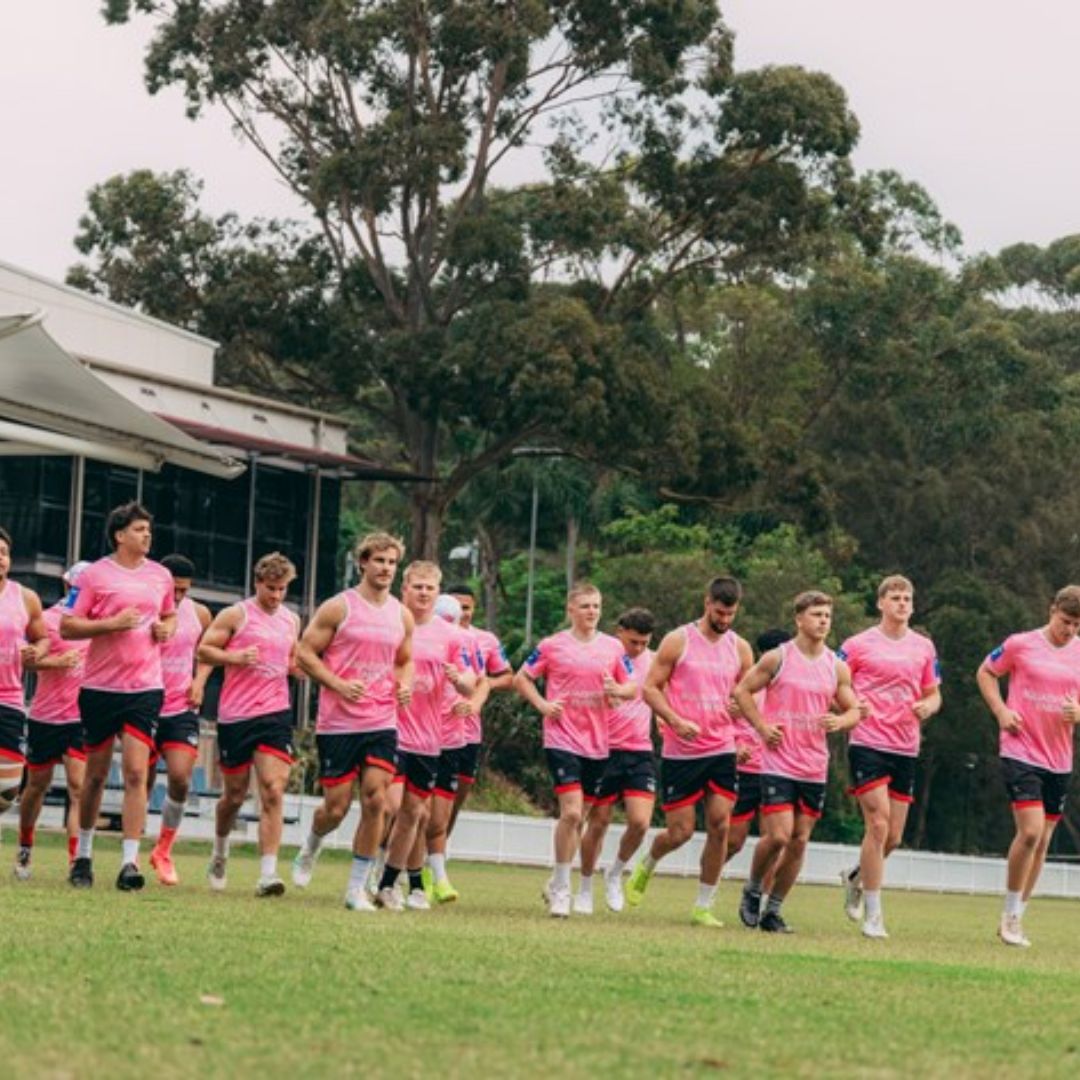 St George Illawarra Dragons 2025 Pink Training Shirt