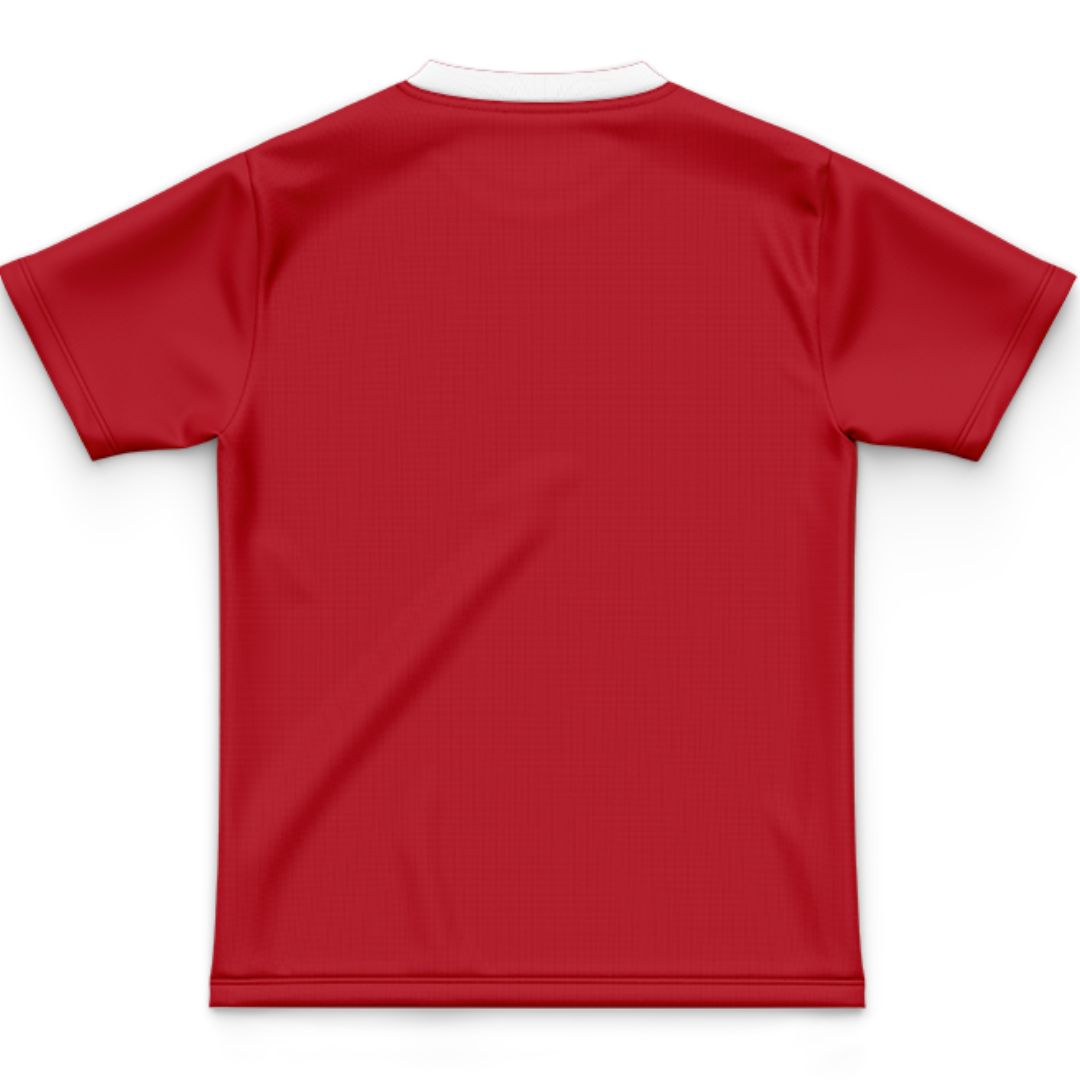 British & Irish Lions 2025 Kids Jersey