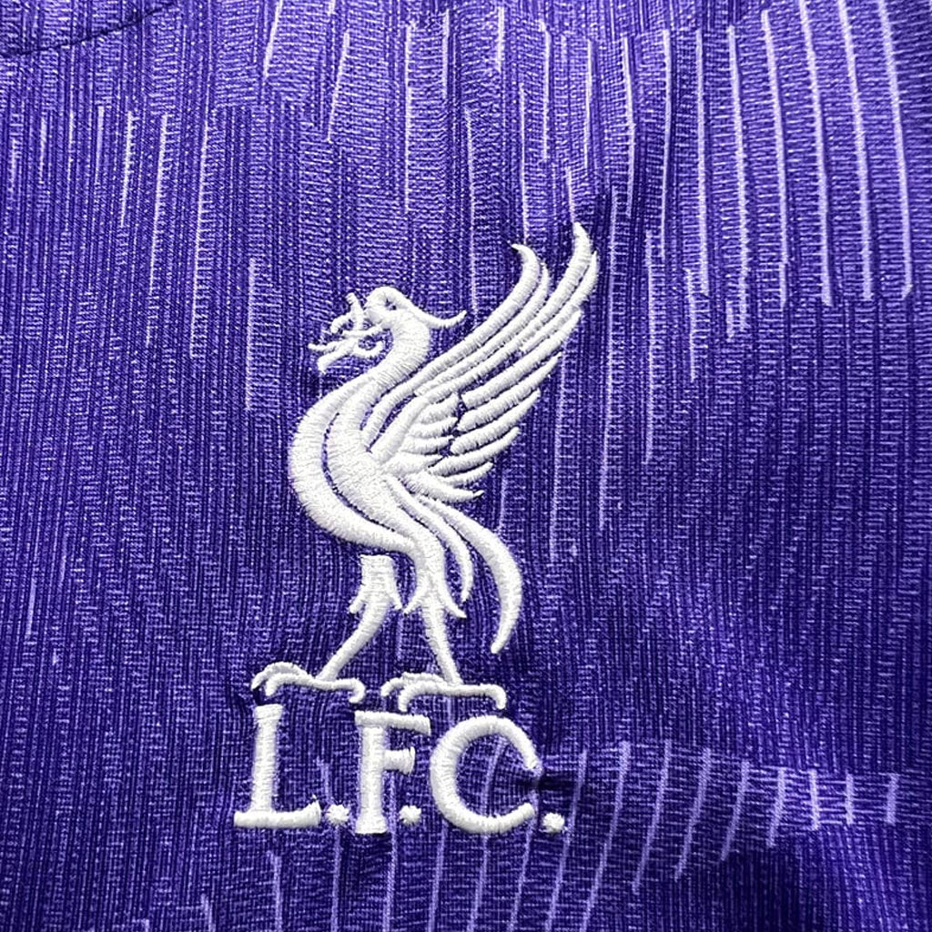 Liverpool 2023/24 Long Sleeve Third Jersey Shirt Kit