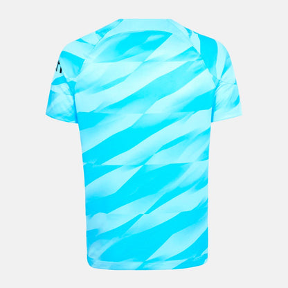 Tottenham Hotspur 2023/24 Goalkeeper Home Jersey Shirt (Short Sleeve)