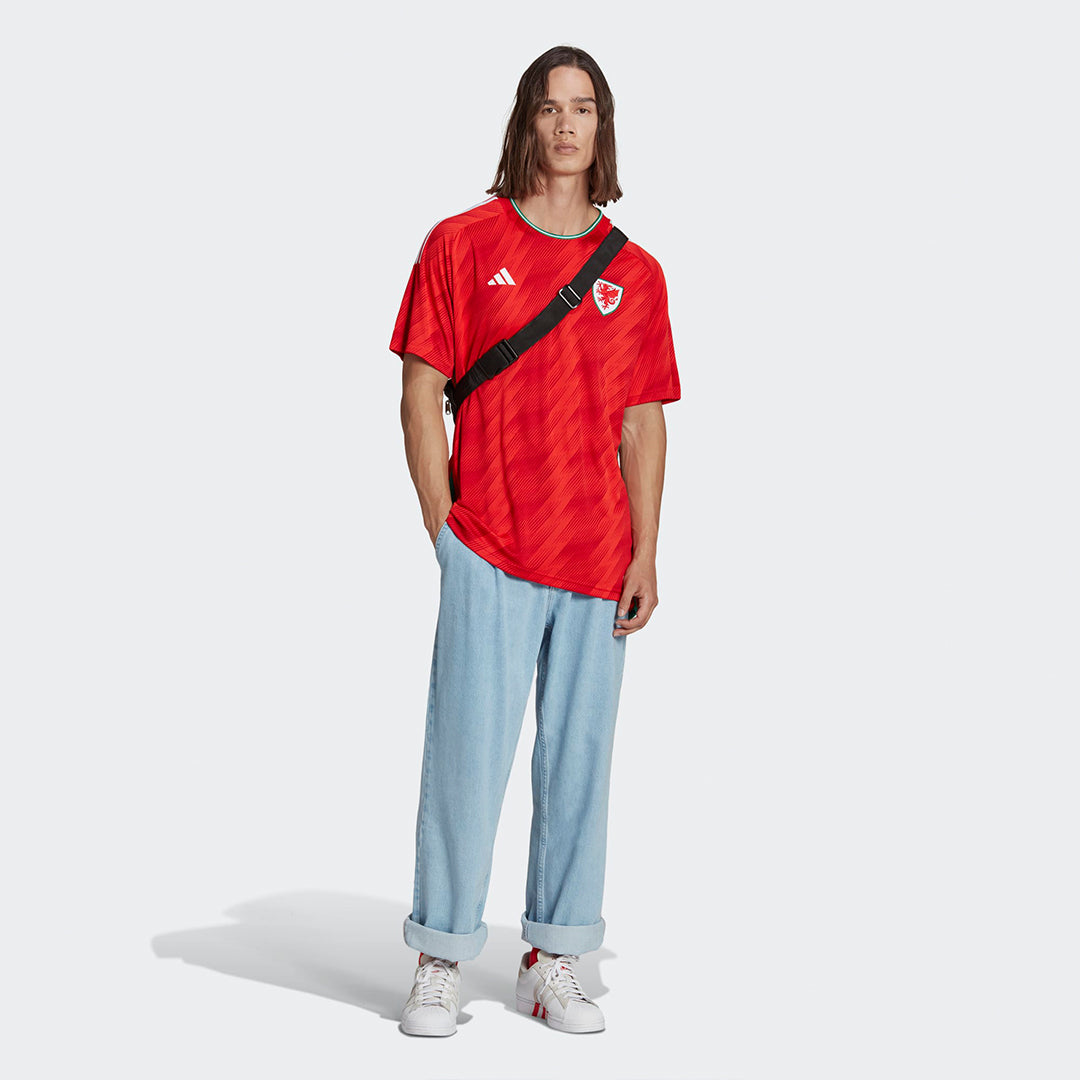 Wales Soccer 2022 World Cup Home Jersey Shirt
