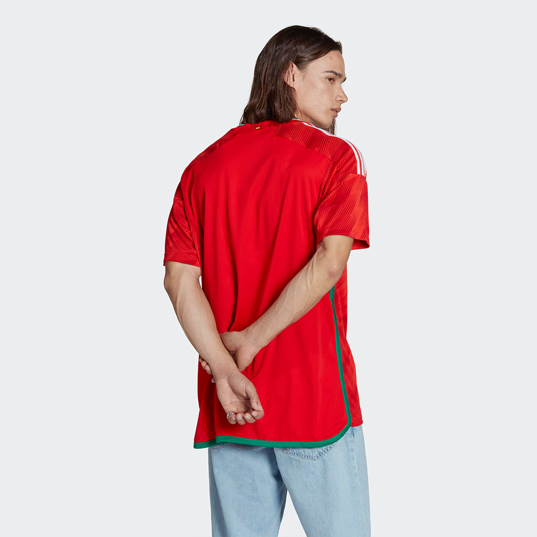 Wales Soccer 2022 World Cup Home Jersey Shirt