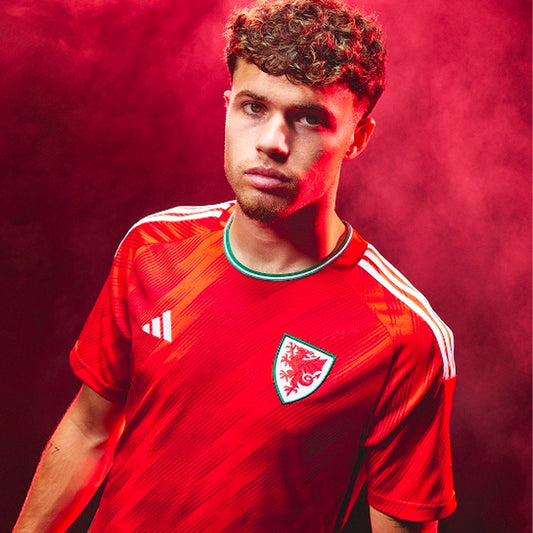 Wales Soccer 2022 World Cup Home Jersey Shirt Kit