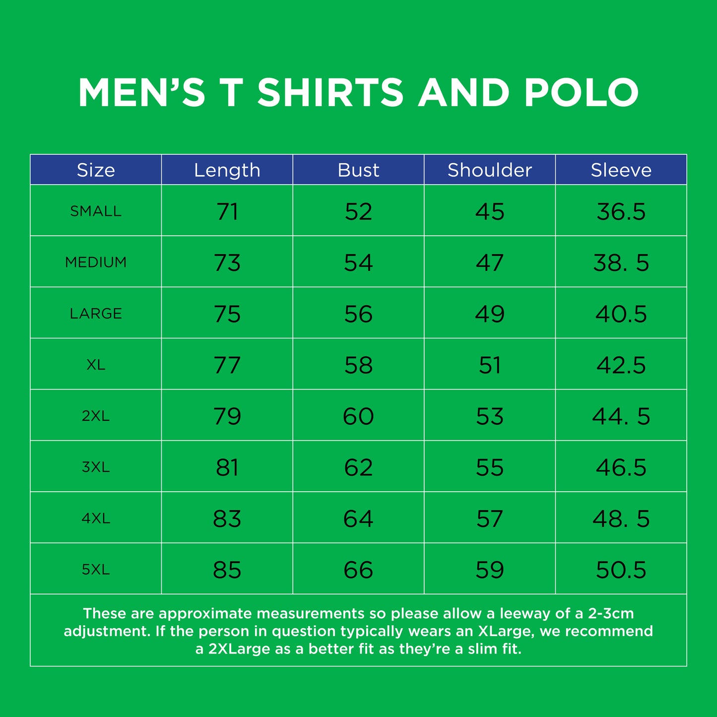 Ireland Rugby 2024/25 Home Pro Polo Shirt